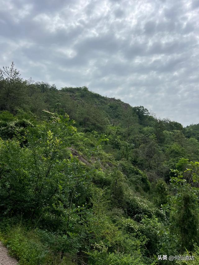 灵谷峰，“中国最早的旅游景区”