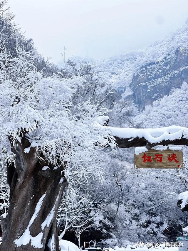 新乡南太行免门票了~