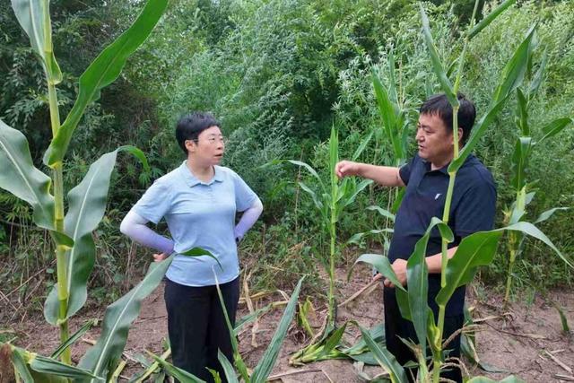 曼行吉林 | 延边邂逅：在文化烟火里触摸民族同心的温度