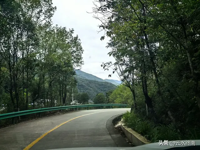 美不美？从“吐一路”到最美乡村路，看4000年银杏，探2000年栈道