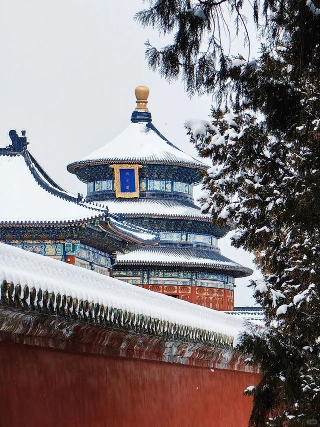 从临沂出发,这些雪景等你打卡!高铁最快仅1小时