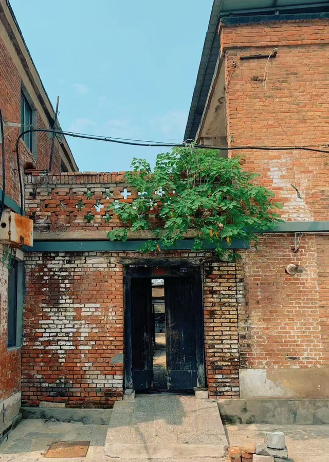 街角收藏家，聊城的每个转角都有惊喜