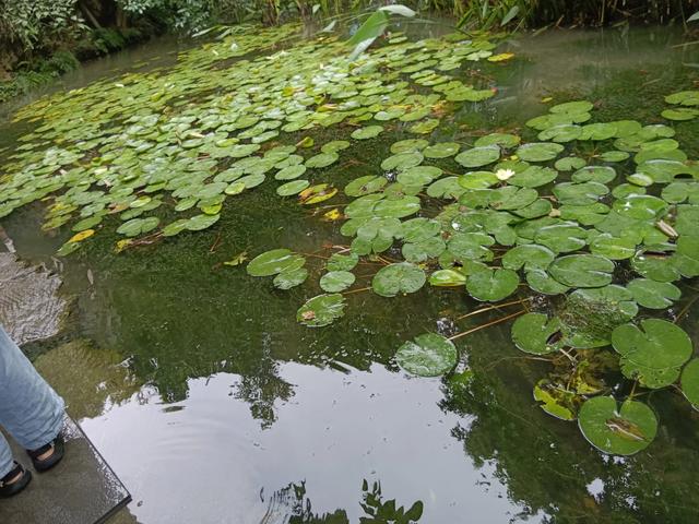 贵州旅游印象(一)