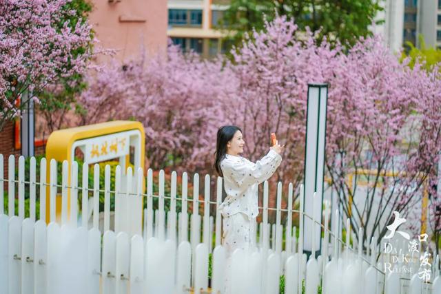 春天来了,你也该来一趟大渡口啦!