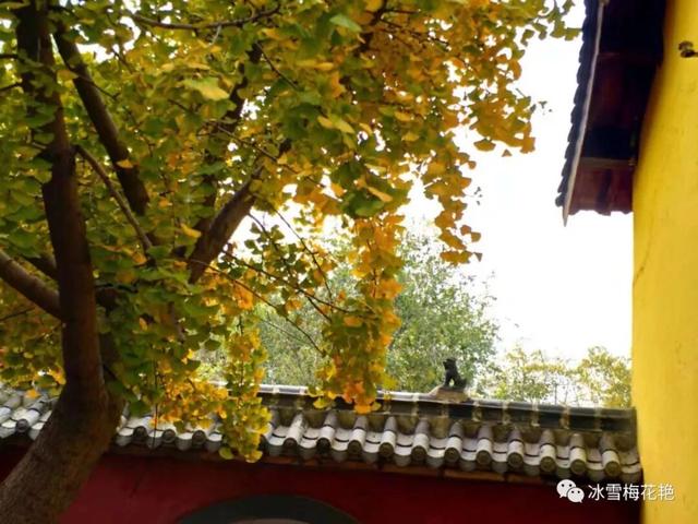 秋游大宗山朗公寺