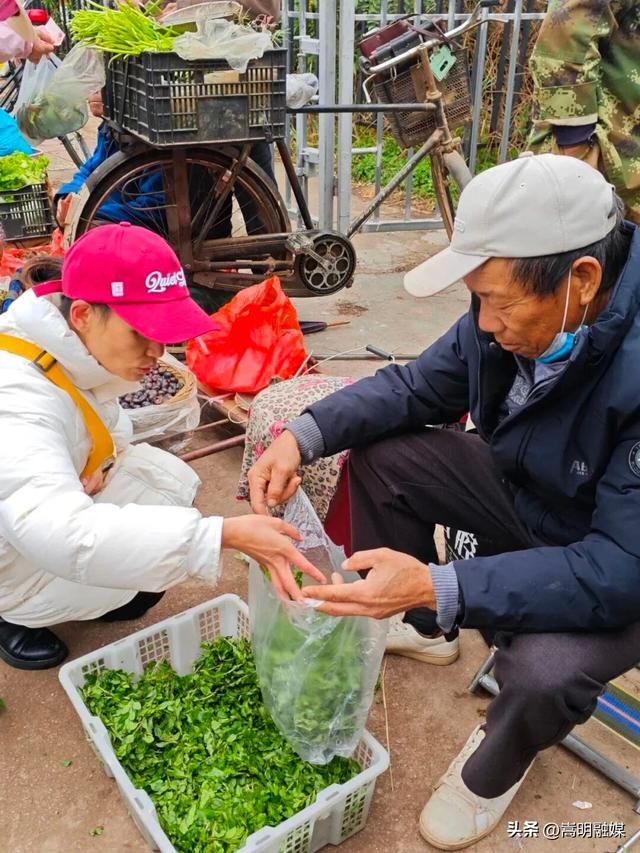 旅居云南·入昆第一站丨山水田园间，嵩阳街道老房焕新颜，旅居兴业两相宜