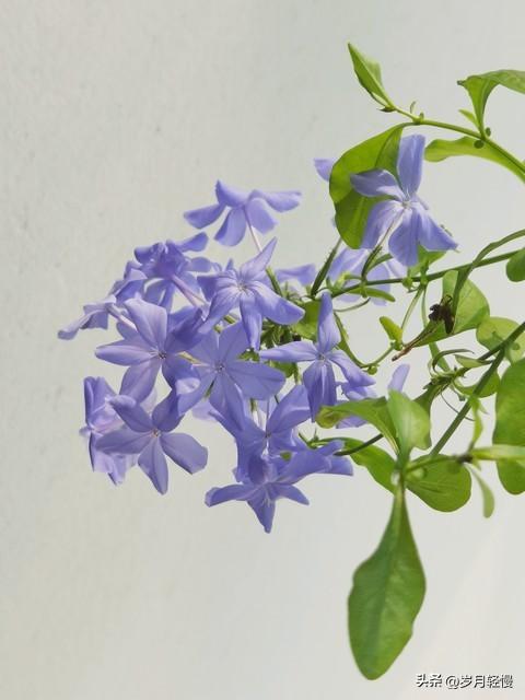 写在2025.12.31最后时刻