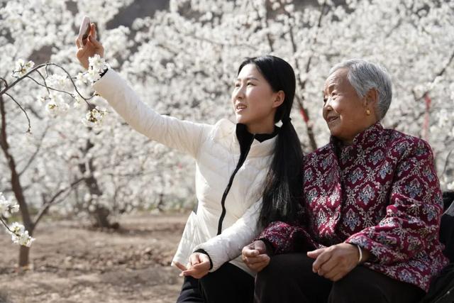花开陇南，春风十里等你来