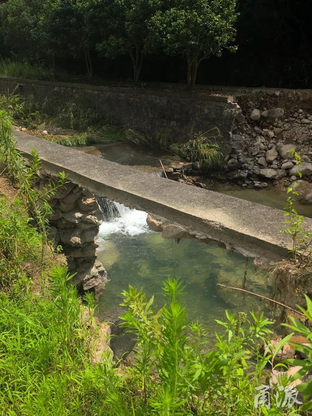 这条大嵩岭古道，藏着整个夏天的秘密