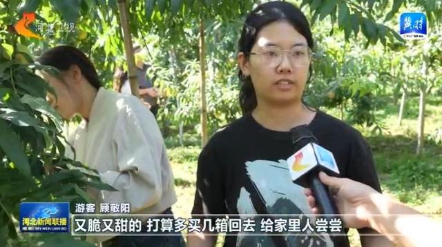多彩假日 乐享河北丨红色旅游热度攀升 特色体验焕新