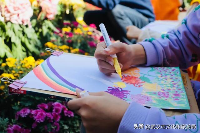 美到华妃都停步！最受欢迎的菊展打卡点就在这里