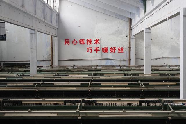 活力中国调研行｜南充文旅新花样：“丝”滑出圈，“湾”住游客心！
