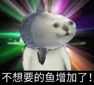 FF14海钓攻略——冲分拿鲨鲨指挥官不是梦！