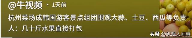 领韩国旅游团参观中国菜市场：试吃乱瞟还不好意思，水果买几十斤