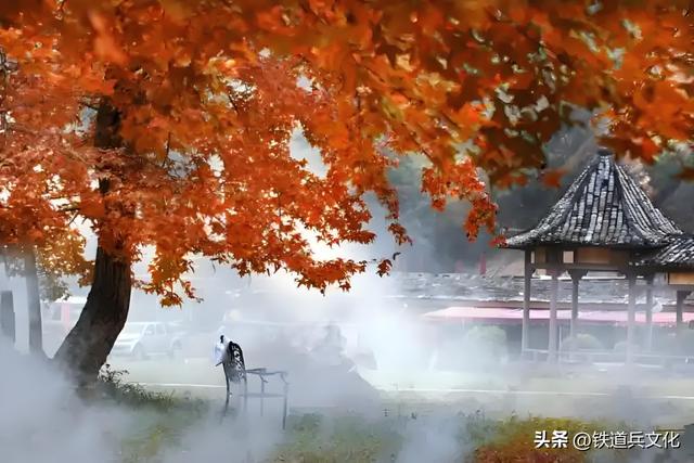 王秉良 ||《霜叶胜花》——跟着课本品古诗之三十三