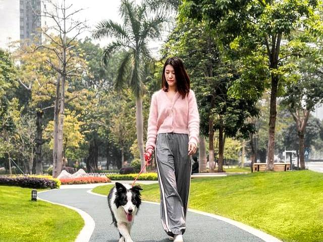 坚持 6 周，代谢上来了，旺盛代谢一整天，人也就瘦了！