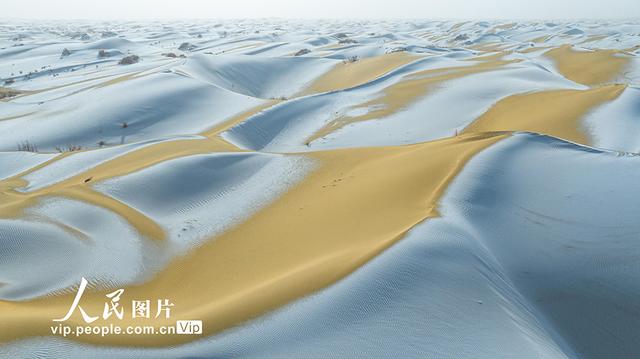 新疆尉犁：塔克拉玛干沙漠雪景如画