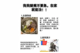 狗狗腿瘸不要谎，在家也能治！图片