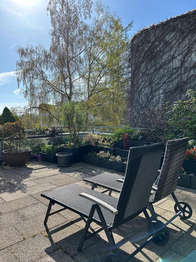 《 再见，德国 》