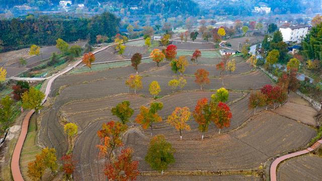 大别山中徐凤冲