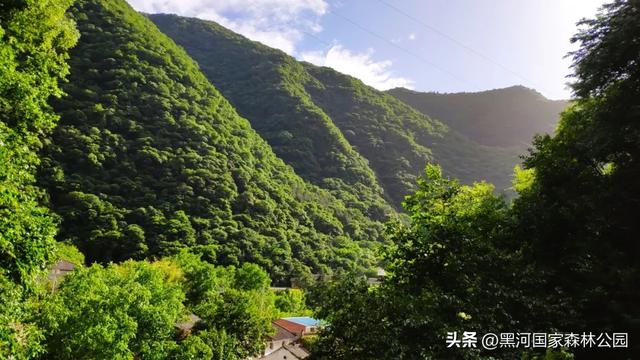 秋意漫染黑河，清风轻吟，邂逅一场如诗的秋日美景
