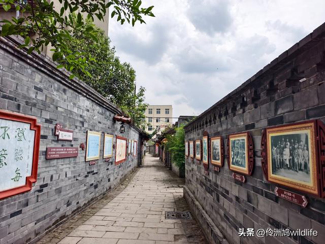成都古镇（15）郫县唐昌古镇崇宁公园·大椿巷