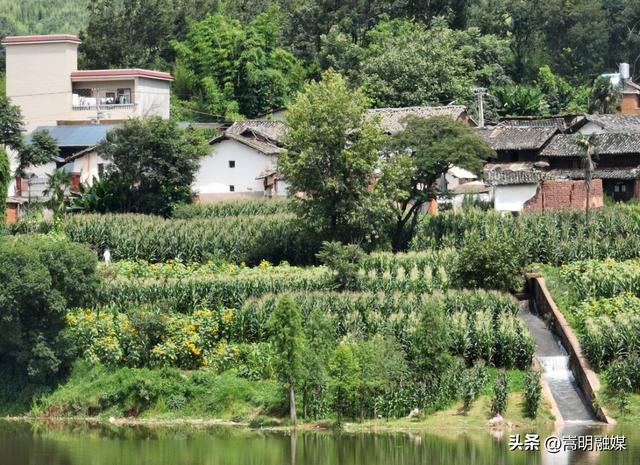 自在嵩明丨层峦碧水、林间野趣、美食垂钓……近郊旅行就来杨桥西山大村子