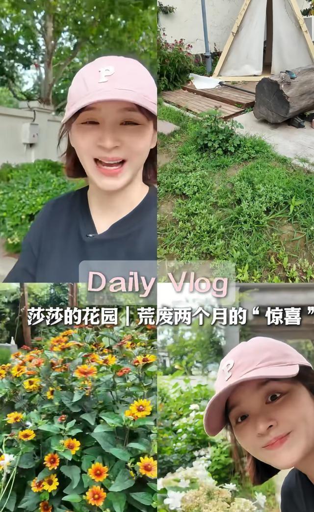 女星邓莎离家2个月花园荒废，独带3条狗游玩！与富商老公感情危机
