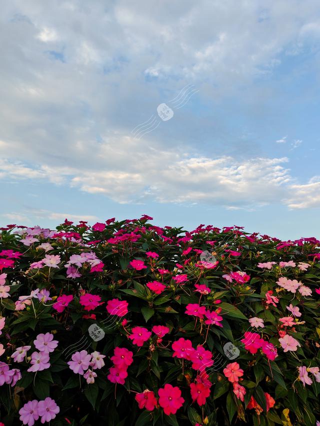 打卡云南高原明珠——美丽的抚仙湖