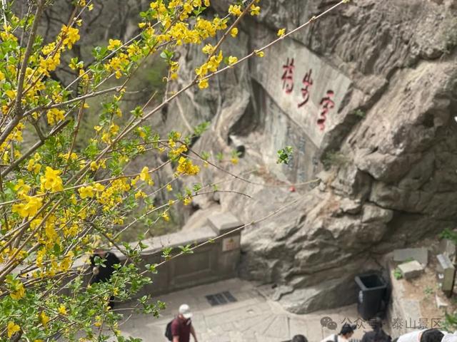 泰山中天门：春末夏初的绮梦之境