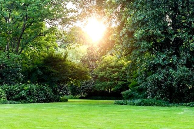 晚年最好的“活法”，不是打牌聚会跳舞，而是以下3种方式