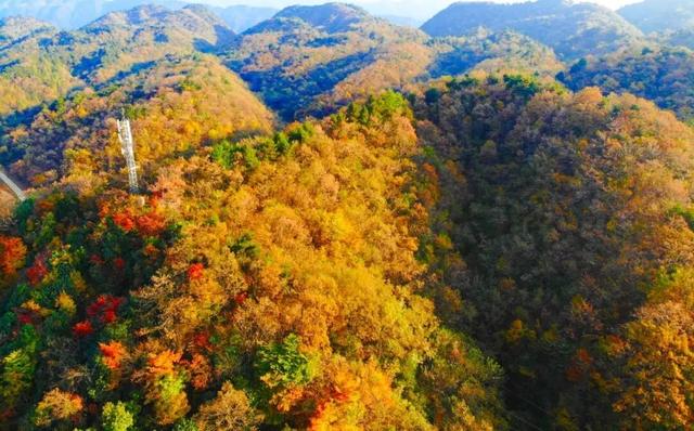 红叶漫山涧!来汉江源,邂逅一抹绝色秋光