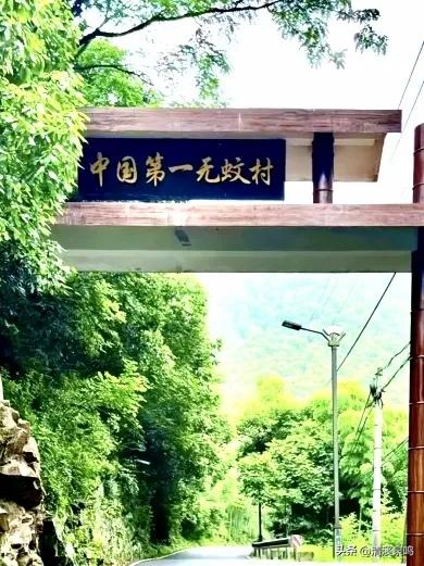 多彩大坪飘红绿