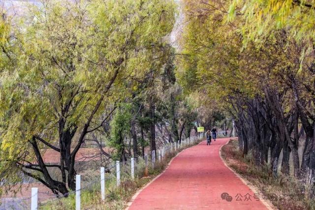 以礼初冬，树染波心山街色 蒋加祥/图