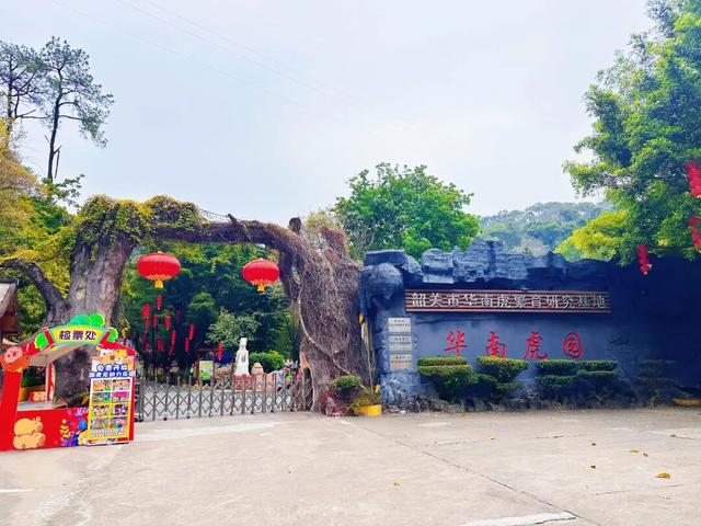 别卷作业了，卷卷大自然！韶关秋日研学，让娃成为朋友圈最酷的崽