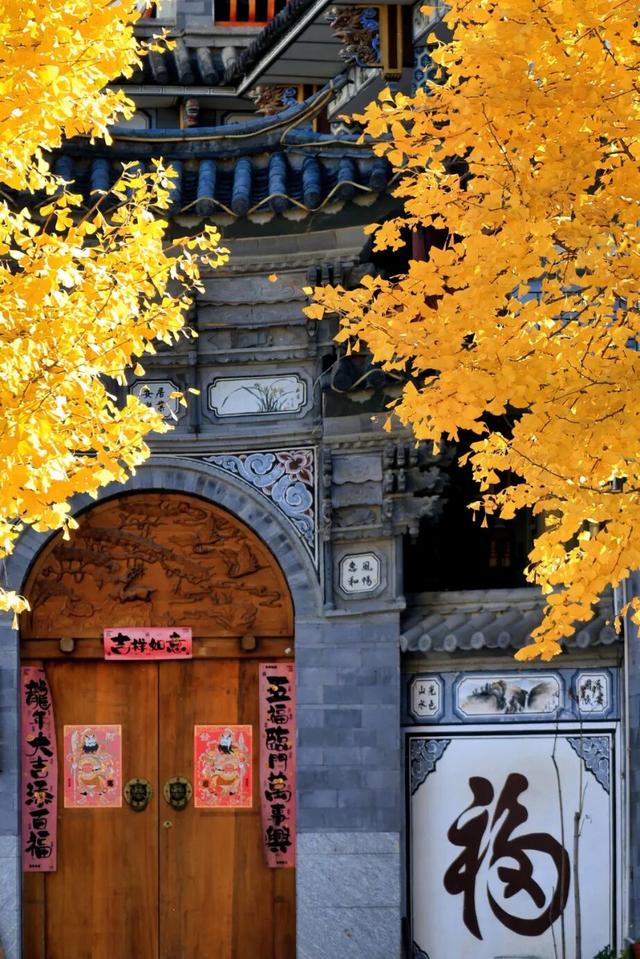 大理“金色童话”背后藏“秘密”