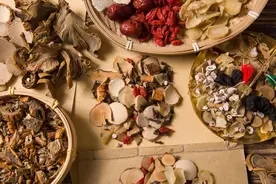 痛风，重用【穿山龙】，止痛如龙，穿山破石，痛风神药图片