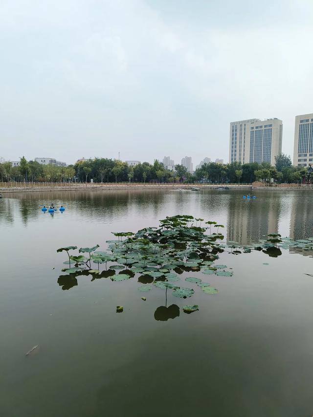 天津《龙居花园》