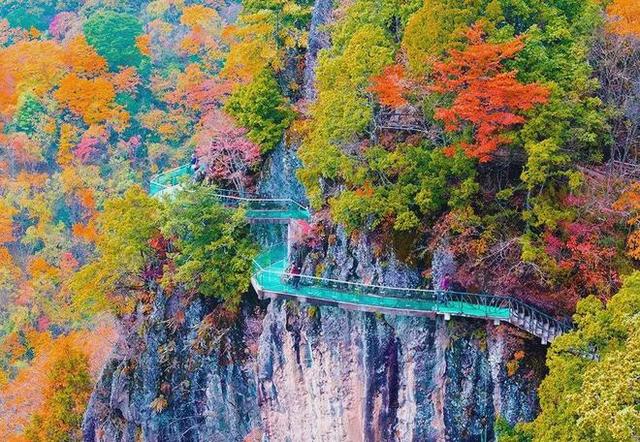 安康南宫山：五彩秋色惹人醉