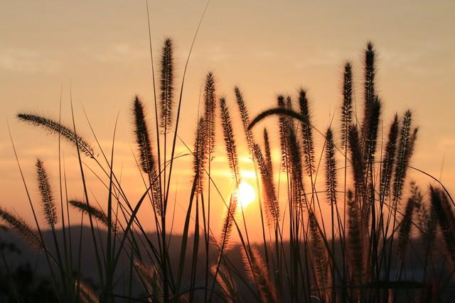长长的路，我们慢慢的走