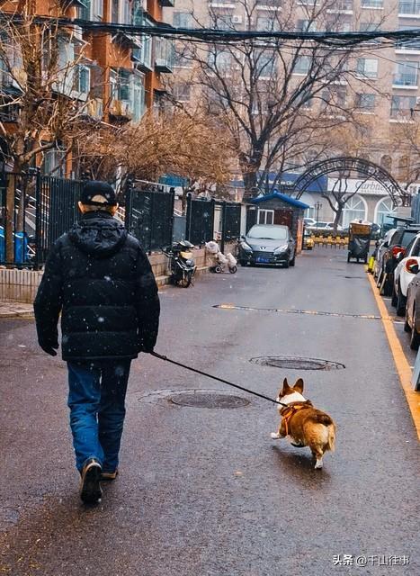 别骂骑友为啥咱宁愿扛着违章风险！也不骑平坦宽阔的非机动车道？