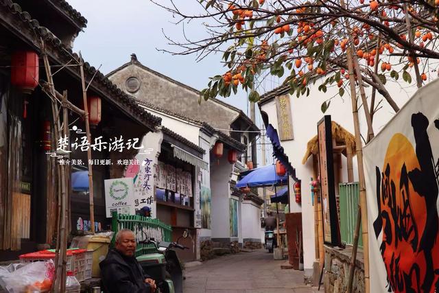 宁波慈溪的千年古村，古樟公园已经足够优美，昆虫乐园更加好玩