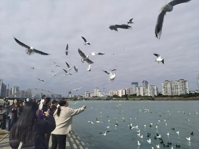 绵阳市网红打卡之地三江码头