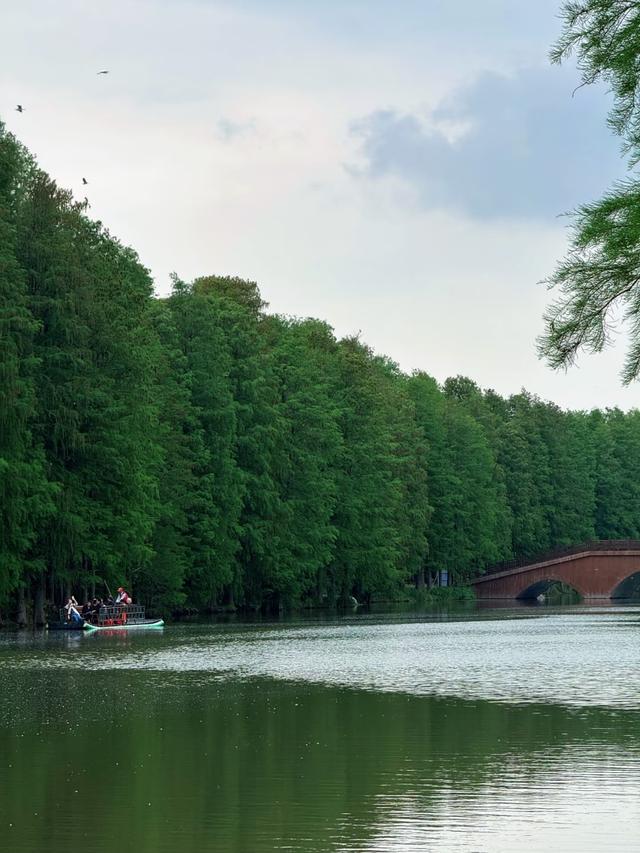 江苏大变局！兴化突然爆红，江苏中部市县集体看懵～