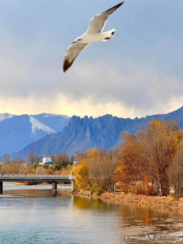 拍爽了！在拉萨的朋友，马上去这里！免费！