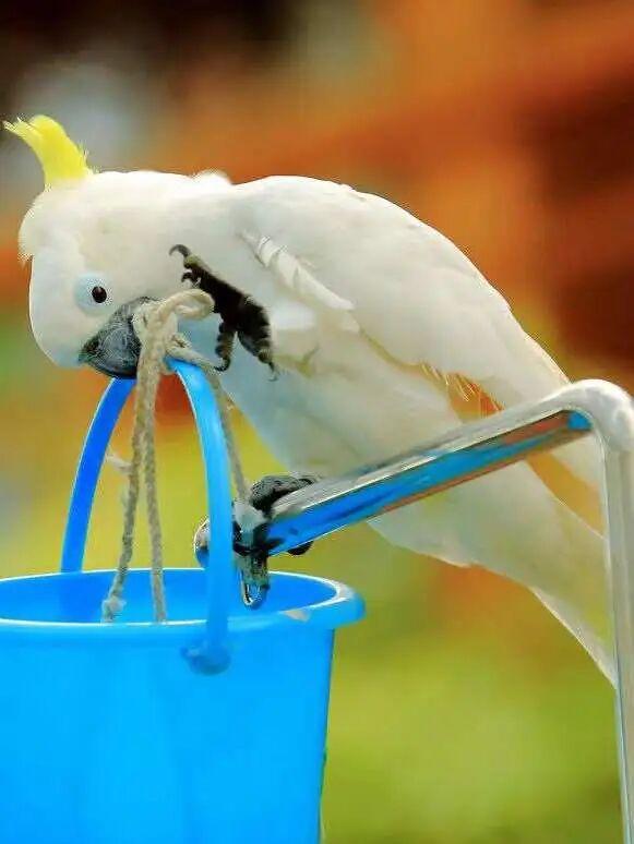 冬日奇遇开启！五洲植物乐园藏着超多惊喜！寻绿不跑空！12月营业时间新鲜出炉~