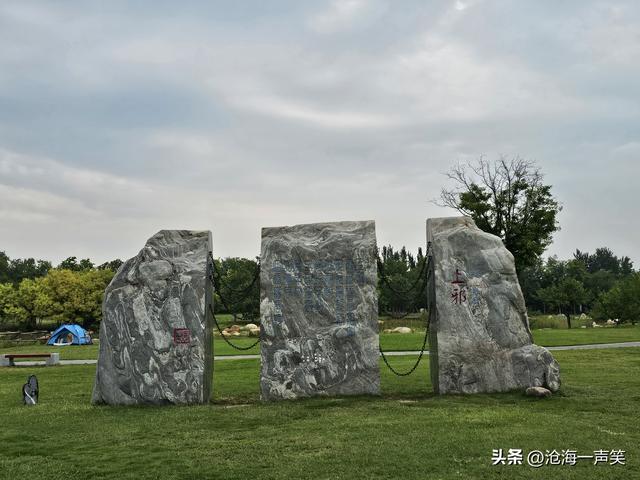 秋色依依，露营柔柔，微风习习，人生得意须尽欢，莫使金樽空对月