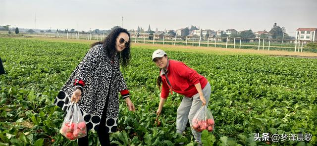 周末新玩法：云梦博物馆看秦简，新马村拔萝卜，武汉家庭乐翻天