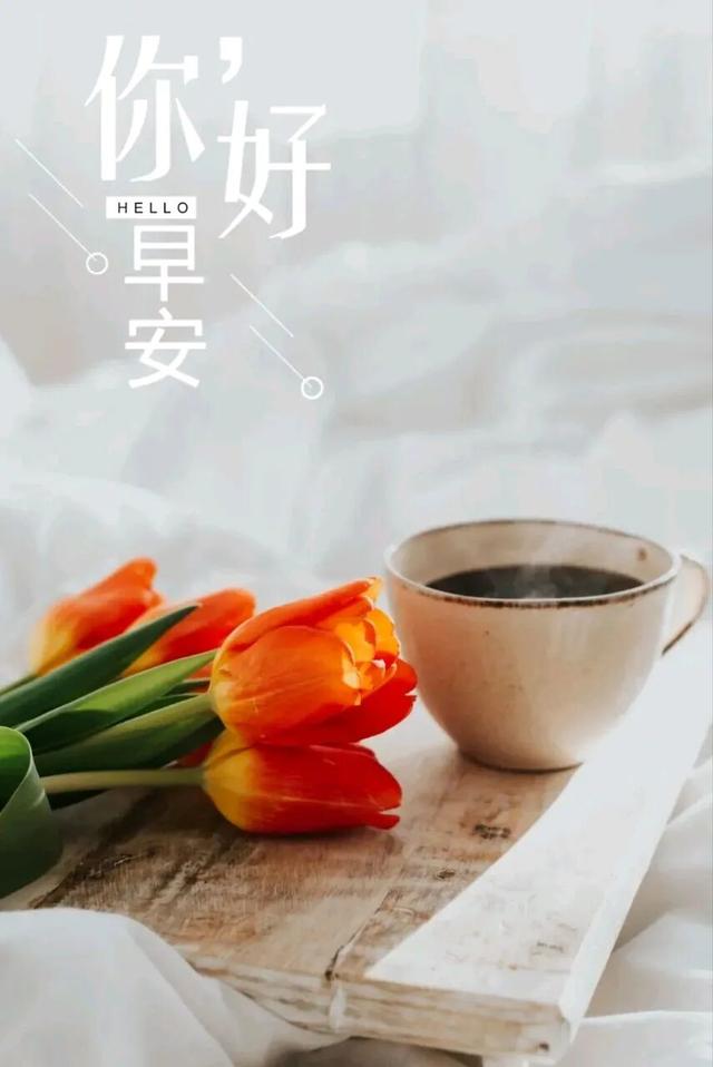 早安正能量简短励志句子，阳光不燥，温度正好，美好的一天开始了