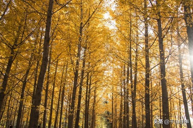 告别骑行“数据焦虑”3条枣庄小众路线，从晒圈狂躁症到四季治愈